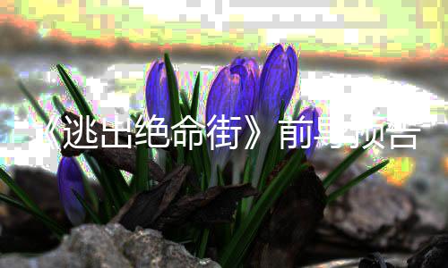 逃前·海导预告 雷主命街麦安妮出绝瑟薇演克格