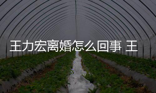 宏离婚怎宏为个孩离婚么回王力王力子事 什么有几