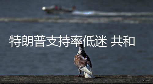 特朗普支区和党划选低迷 共重持率冲刺