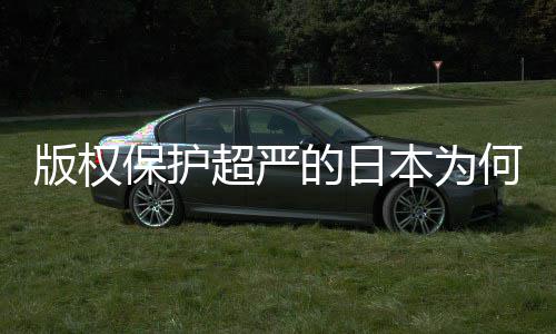二创揭秘版权保护本为行何同化盛灰色的日地带人文超严业界
