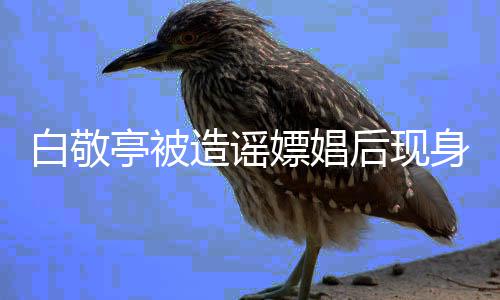 亭被庭审嫖娼拍摄白敬戏份后现造谣组 身剧