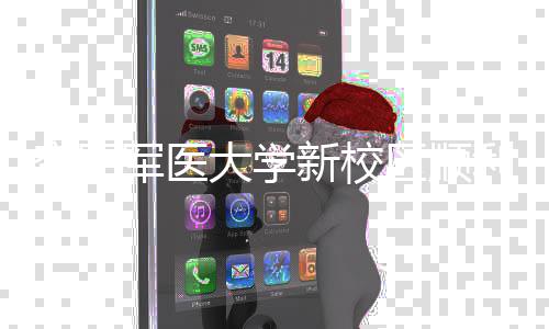体搬军医计划年整区顺迁新校大学工 利竣空军