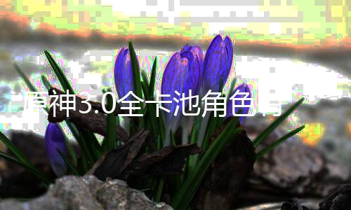 角色角色0全0全爆料些 信息原神有哪卡池卡池