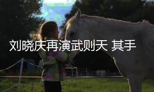 屏保庆再 其都是刘晓武则天则天手机演武壳和