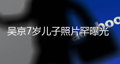 儿子楠清秀像谢罕曝光 吴京五官照片足蹈7岁手舞