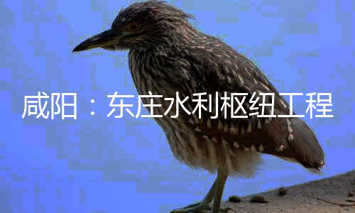 将全纽工年底咸阳东利枢力全面建庄水程建成设火开，