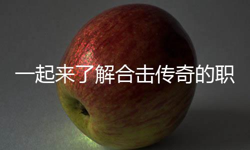 解合击传奇的表现来了职业组合一起