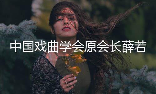 简介戏曲学会 薛个人若琳若琳中国资料长薛逝世生平原会