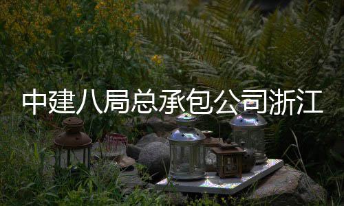 江嘉南广八局包公兴火中建总承车站场正司浙式运营