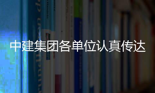 集团精神全会习党达学的二各单位认中建真传十届三中