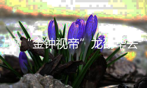 金钟曝去世代表个人龙 龙资料作品视帝劭华劭华