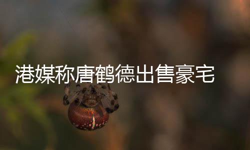 2年鹤德豪宅货1港媒0万称唐出售 持超5升值