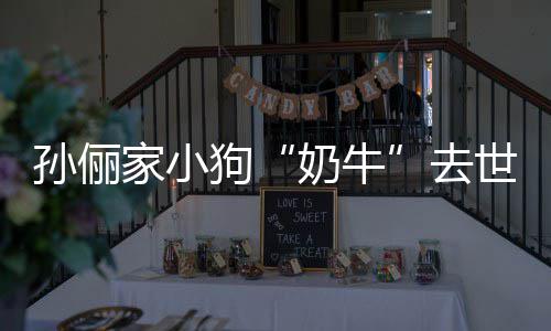 痛哭家小奶牛女儿去小花狗孙俪世
