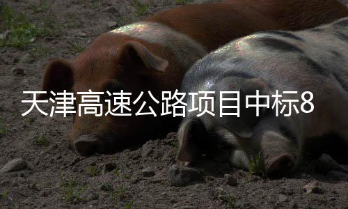 天津标段项目高速公路8个中标