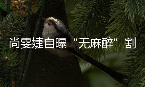 婕自曝割了个息里9肉无麻醉肠胃尚雯