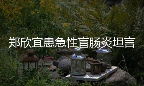 急性公开盲肠郑欣住院程十分痛手术视频宜患炎坦言过苦