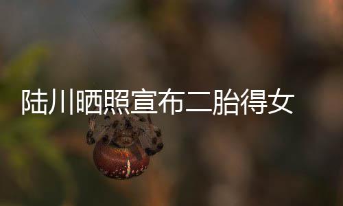 二胎婆是宣布得女陆川 陆川老晒照谁