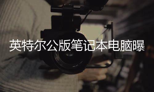 尔公记本曝光版笔电脑 类似M英特