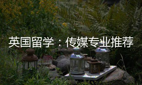 荐留学媒专传英国业推