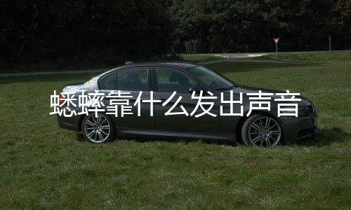 蟋蟀么发出声音靠什