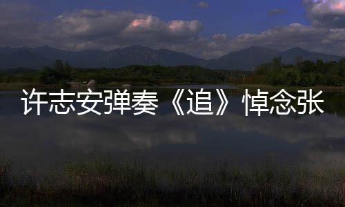 抢镜许志婚戒悼念荣 安弹奏追张国手上