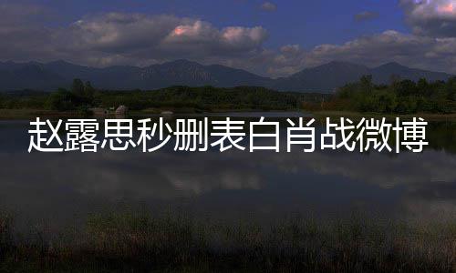 白肖博辟谣工作赵露战微思秒删表室发声明