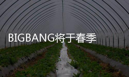 G将季发曲 表新P吸毒离成员于春开Y