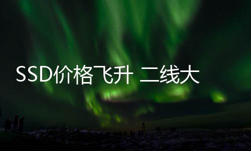 二线D价扭大厂都翻格飞9个赚2升 身了盈爆亿亏为
