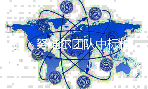 团队家美・努柏林新国项目 让维尔中标术馆扩建